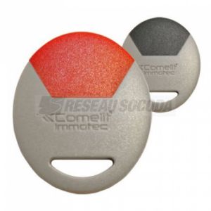 CLE RESIDANT MIFARE GRIS/ROUGE